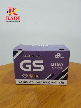 GS GT9A (12V-9ah@10hr)